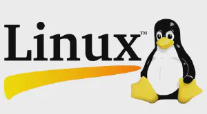 Chaining Linux Commands Like a Pro